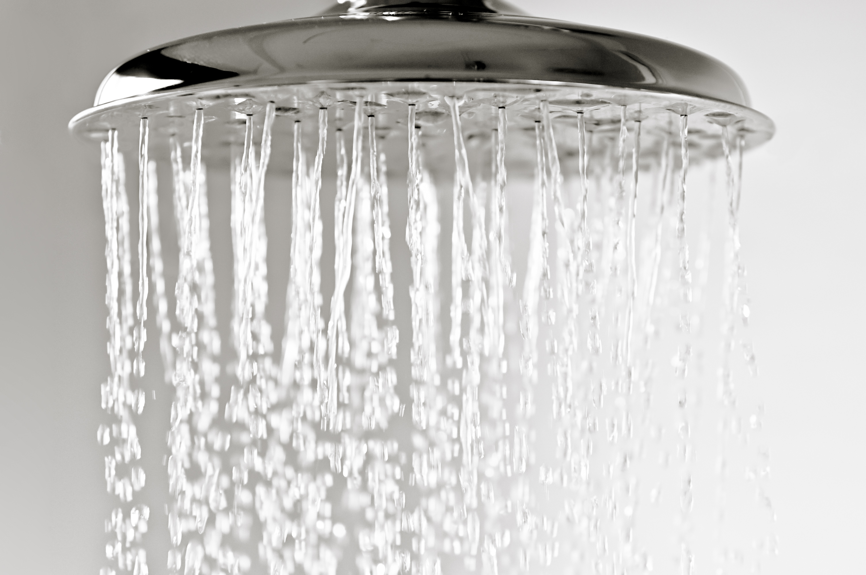 Shower head