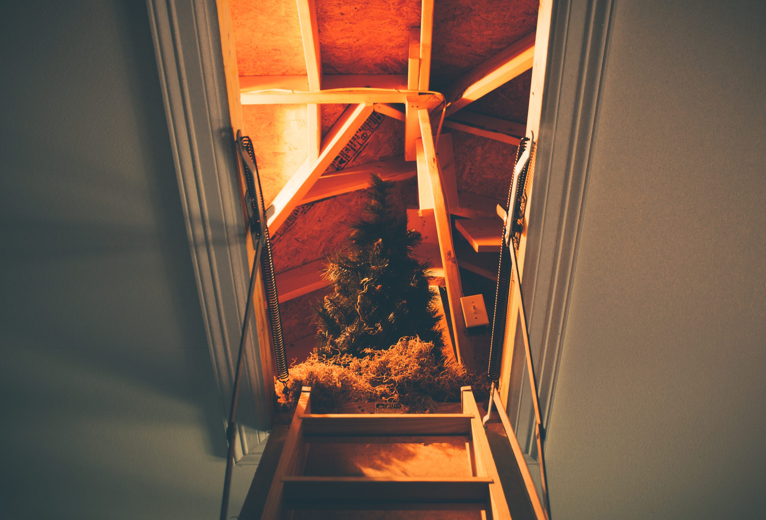 A Ladder leading to a Christmas tree stored in an insulated attic.